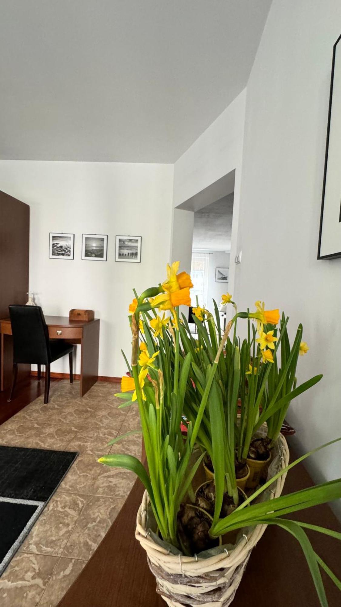 Apartament Rodzinny Колобжег Экстерьер фото